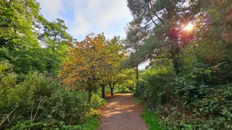 BBC Weather Watchers / Stormchaser Al path meandering through green and golden brown trees with some sunny spells and a glimpse of some sunny spells above