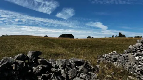 Image showing the landscape of Middleton Moor in Derbyshire, with rocks, grassland and trees in sight