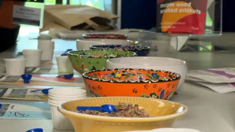 Bowls of roasted insects were available to nibble on