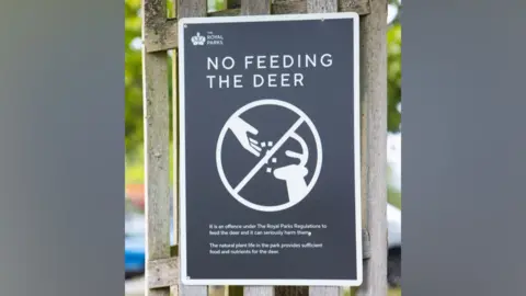Getty Images A sign at Richmond Park telling visitors not to feed the deer.