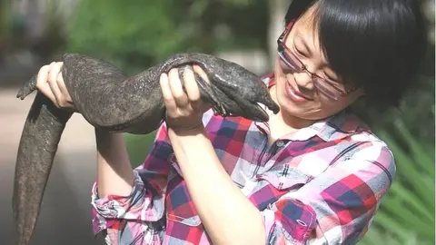 Robert Murphy Giant salamander