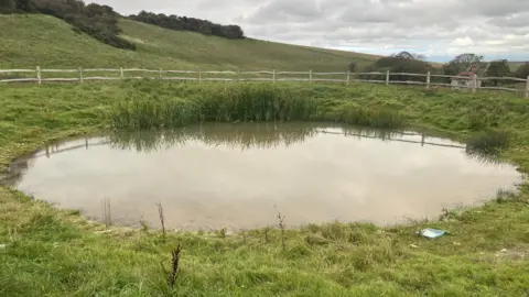 A round pond is in the centre of the frame, surrounded by grass. At the back on the picture you can see a wooden two-bar fence and further in the distance in a green hill.