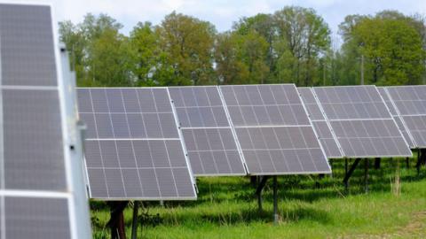 solar farm panels