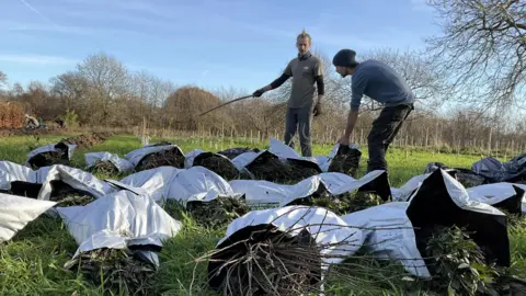 Photo of two tree-planting volunteers working in a field. A pile of trees in bags are visible in the foreground, waiting to be planted. The sky is blue and there are newly planted trees in the background.