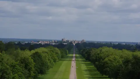 DereksDisco TUESDAY - The Long Walk in Windsor looking towards Windsor Castle on the skyline