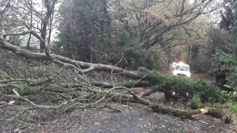 A fallen tree blocking a minor road. It is daylight and a white van can be seen behind the tree with flashing lights on the roof.