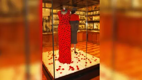 Nunthorpe and Marton Knitters Dress made out of knitted poppies in a museum display box