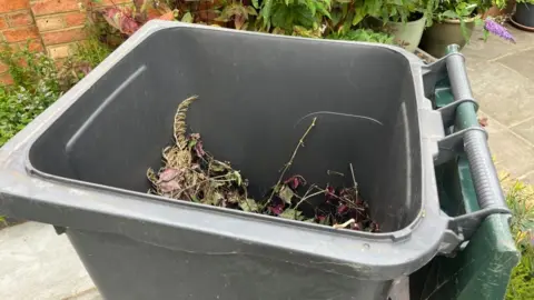 A green garden bin, with green garden waste in it, with the bin open, with plants around it, in a garden