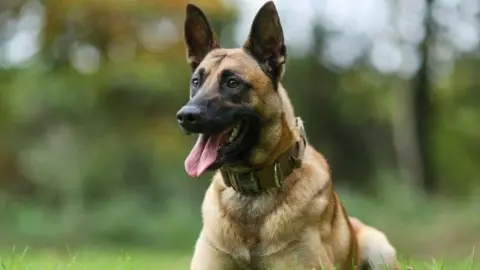Nottinghamshire Police PD Seth