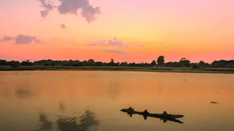 Red Admiral Orange and pink hues fill the sky and cast a glow over the water of a lake in the New Forest. On the horizon heathland and trees can be seen, while in the foreground a piece of wood emerges from the water.