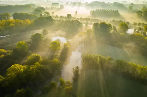 Nature TTL / Bart Heirweg A landscape view of a foggy wooded valley with streaks of sunlight