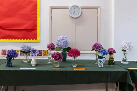 Jim Grover Hydrangeas in vases on a table