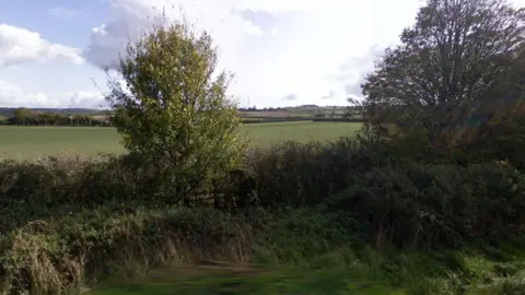 A hedgerow with a few larger trees along its edge with a large field behind it. There is grass on both sides of the hedgerow. The sky is bright with a few grey glouds.
