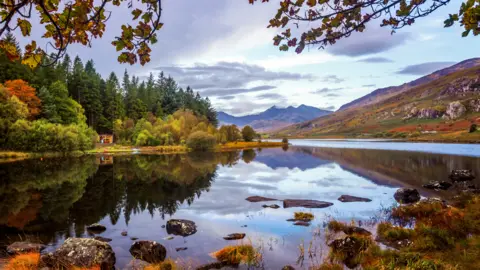 A lake and trees in the Eryri national park 