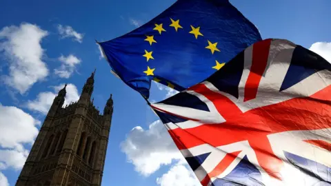 Reuters Parliament and flags