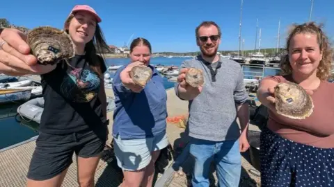 Cornwall Wildlife Trust Four people standing on a harbour pontoon hold native oysters towards the camera, with boats and moorings visible in the background.