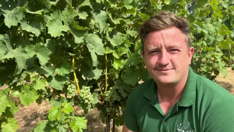 John Devine/BBC Lewis Heron has a light brown quiff in his hair and a green t-shirt on, behind him are small grapes on a vine.