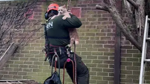 Tauseff Nawaz A tree surgeon, holding onto Casper, a lightly coloured cat, who is over his shoulder. The tree surgeon is earing dark clothing and a harness. He is by a brick wall, and is wearing an orange helmet. 