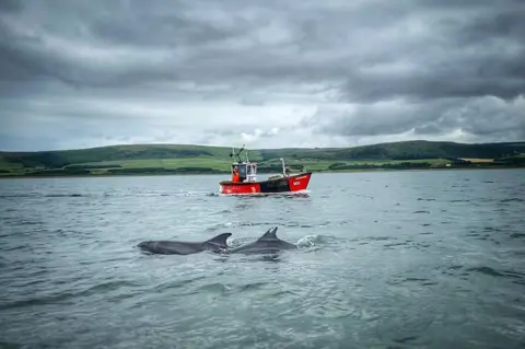 Mark Woodliff  Sailing with a playful pod of dolphins in Loch Ryan during my staycation.