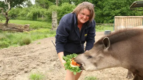 Longleat Jessie being fed a fruit salad by a keeper, containing bananas and leaves.