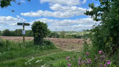 Purple and white flowers in the foreground and a path opening out onto a ploughed field with a public footpath sign