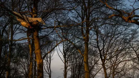 Chris J Ratcliffe Activists sleeping in a tree