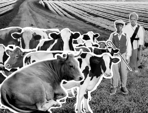 Lebohang Kganye Black and white collage image with several cows, two men and three straw buildings in the distance on a field