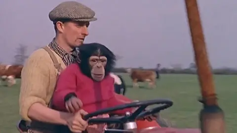 Pathé Leslie Clews and a chimp