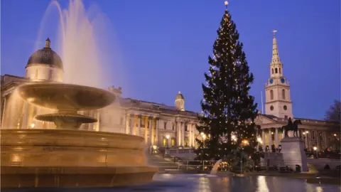 Fraser Hall Christmas tree lit up in Trafalgar Square