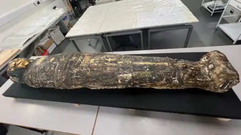 The mummy lays on a black support on the table of a lab.  His head lies to the left of the picture, his feet to the right.  The head is gold, and there rest of the cartonnage has markings and pictures on. 