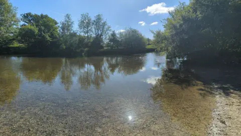 Google A shallow river with silt and rocks on the riverbed. It is surrounded by trees and bushes on a sunny day. The water is fairly clear but turns brown as it gets deeper.