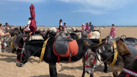 A line of seaside donkeys can be seen on Skegness beach, resting and waiting in the sun