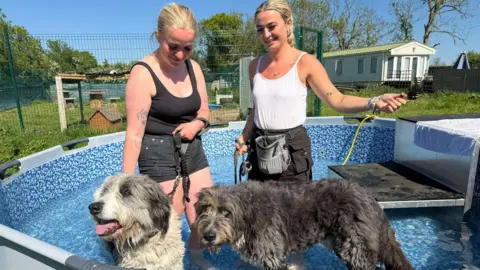 Two women stand knee‑deep in a small, round, blue outdoor pool, each holding a large dog on a lead. The dogs - one white and grey, one dark grey are wet. Behind them is grass and fencing. The sky is blue.