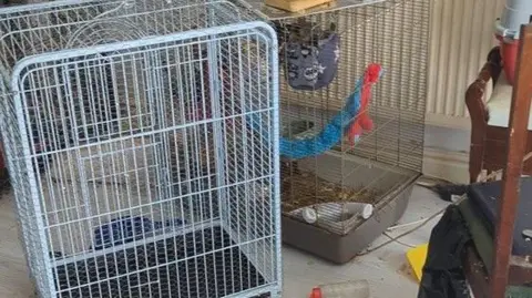 RSPCA Cages where rats were kept by Sarah Jordan