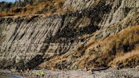 A view of cliffs at Monmouth Beach, with grey exposed mud and rock with people in hi-vis vests standing on the beach