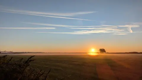 A large field containing a lone tree in the distance under a low orange sun and a blue sky