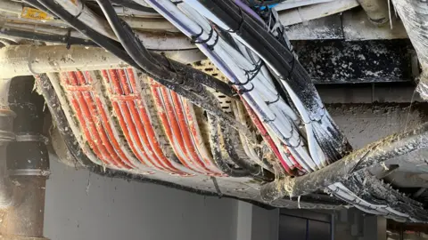 Wires covered in a mud like substance.