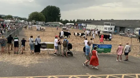 A small crowd of spectators watches as some cows are exhibited as part of the show.