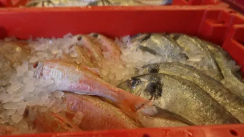 Fish in a plastic crate with ice.