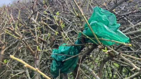 Elizabeth Baines / BBC A dog waste bag stuck in a hedge.