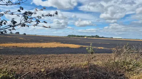 Field in Manston