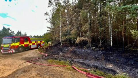 Fire engine on left with another in distance behind red hoses lie flat on the torched grass next to black undergrowth