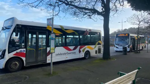 Some white buses parked by a line of bus stops. Trees and a wooden bench.