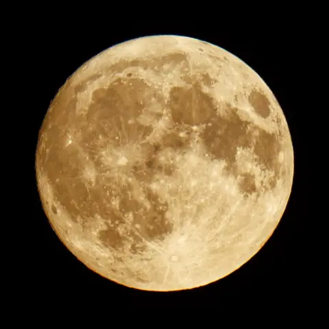 Bobthecornishmaninplymouth a view of the moon