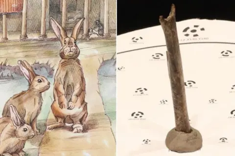 Historic England/University of Exeter Rabbit sketch and the bone