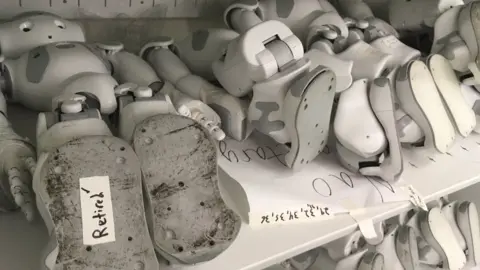 Pallab Ghosh/ BBC News Robot Graveyard