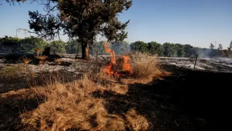 Reuters A field near Nir Am, in southern Israel, is seen on fire after Palestinians in Gaza sent incendiary balloons over the border (15 June 2021)