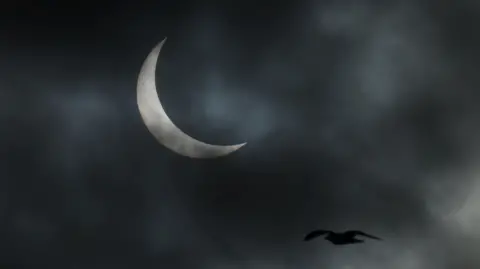 Leonhard Föger/Reuters A seagull passes a partial solar eclipse above Greenland's capital Nuuk, in March 2025. The sky is dark and cloudy and a silver sliver of the moon can be seen.