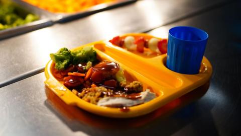 A school meal on a tray