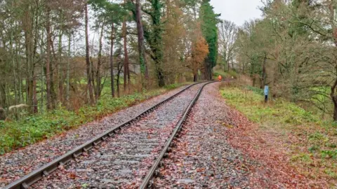 Getty Images Leaves on railway line